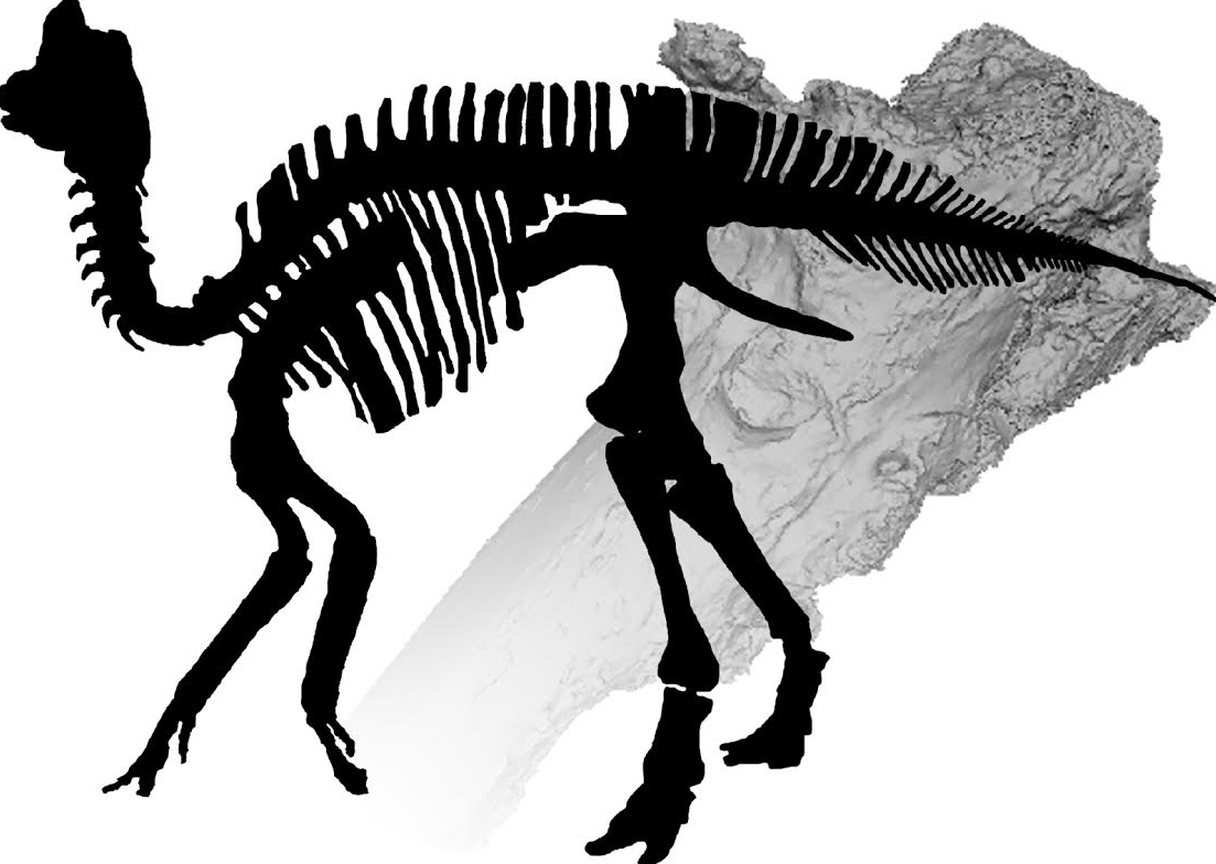 Digitally diagnosing dinosaurs