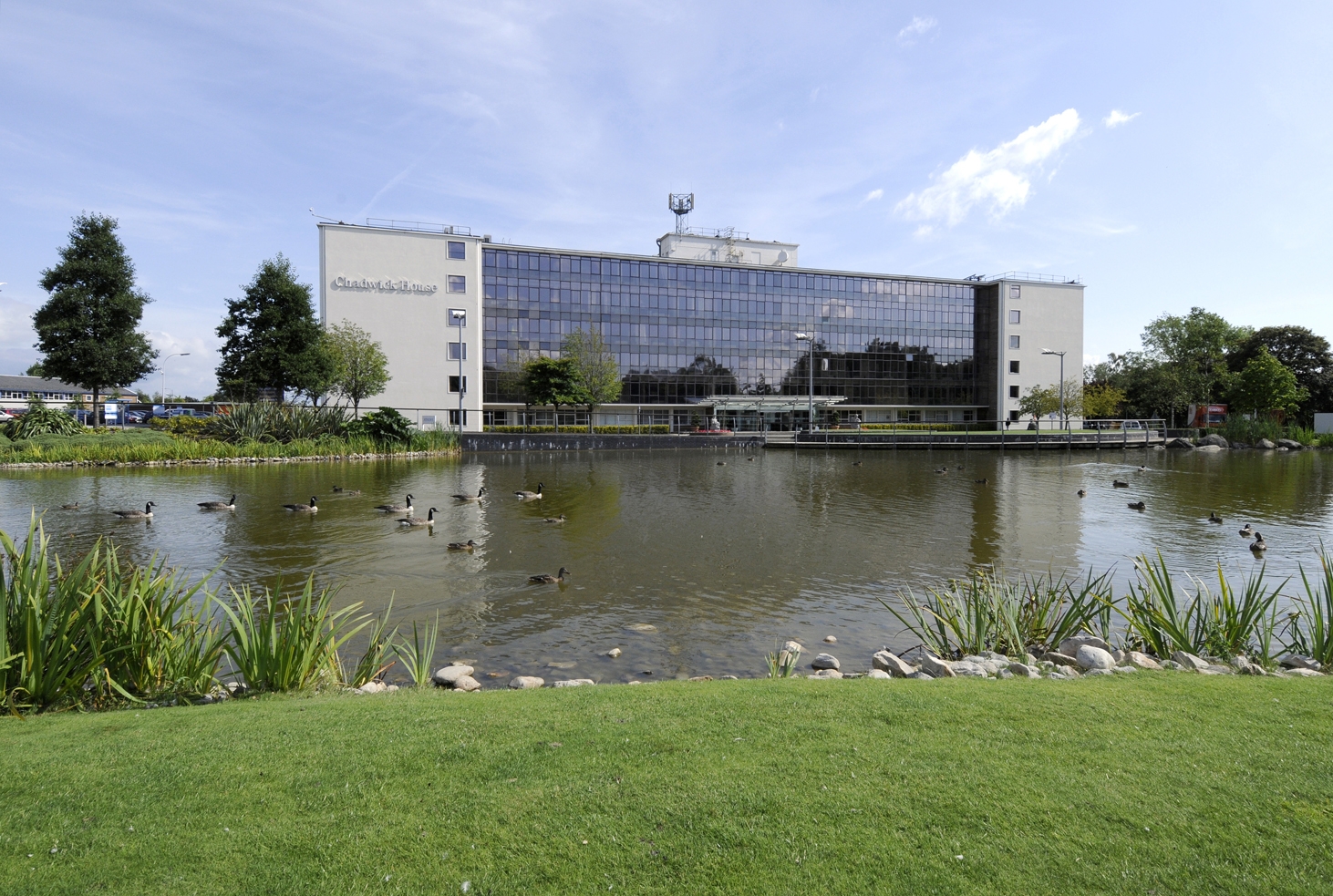 New Home for Foss at Birchwood Park