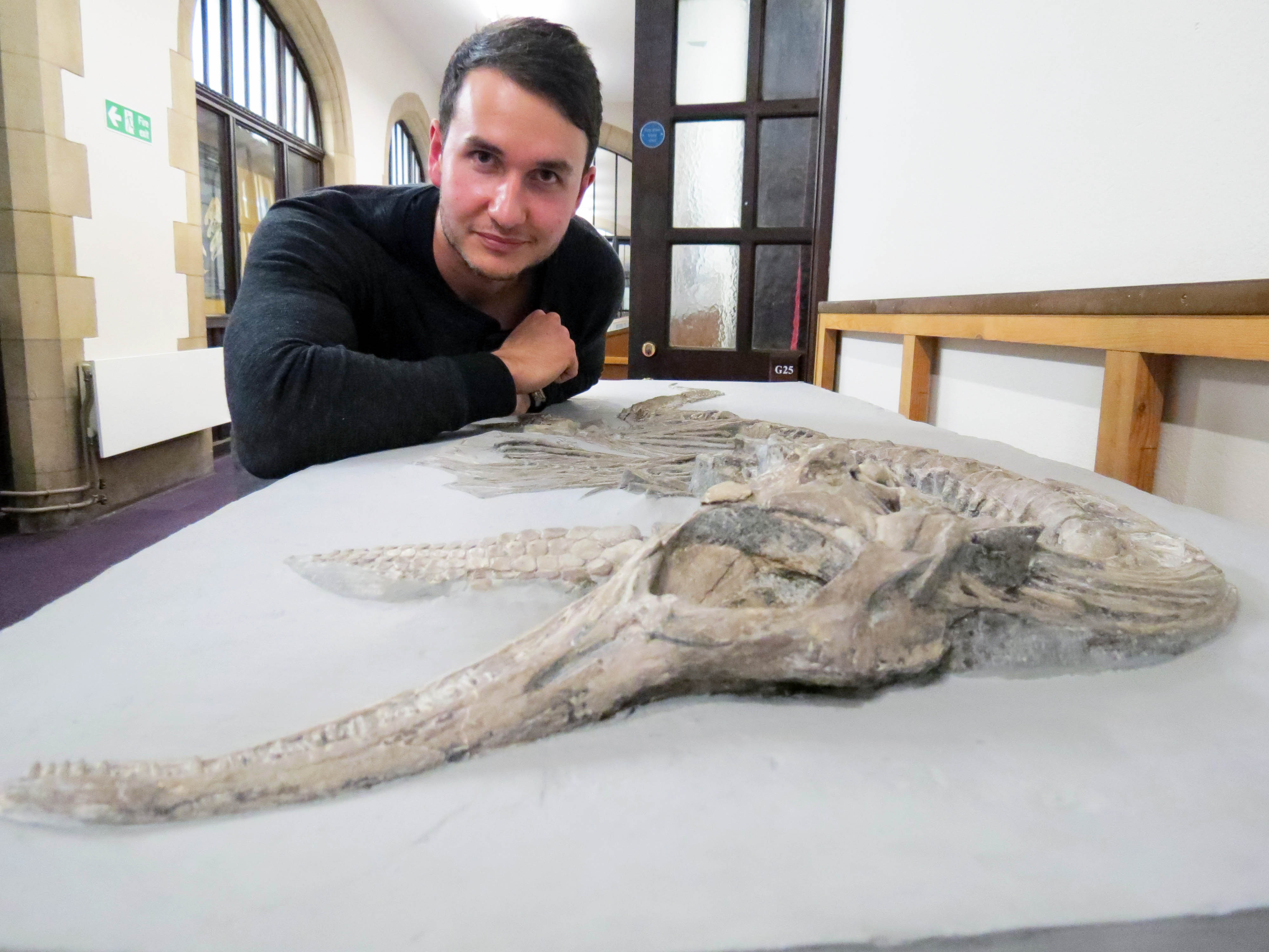New species of British Jurassic reptiles discovered after 6 year international search