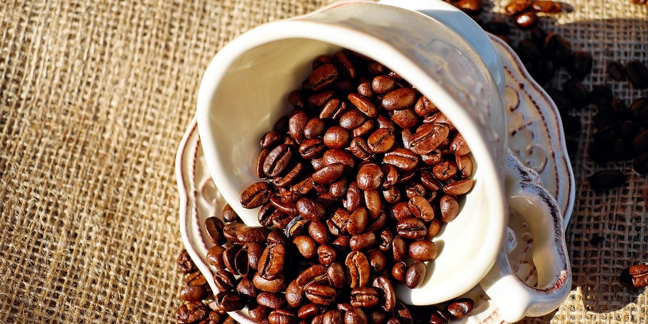 The journey of a fair trade coffee bean