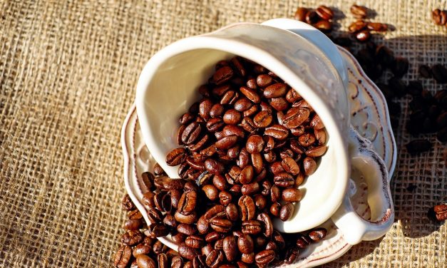 The journey of a fair trade coffee bean