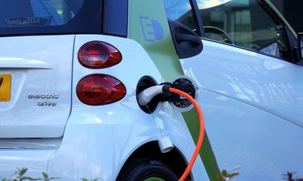 What does the future hold for the electric vehicle industry?