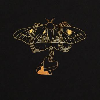 David Gray announced UK tour and new album