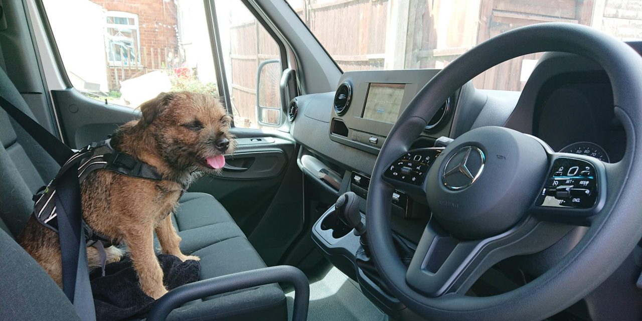 VAN MAN’S BEST FRIEND – DOGS ARE KEEPING OUR VAN OPERATORS COMPANY