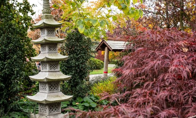 Dealership helps open Japanese oasis of calm in Harrogate