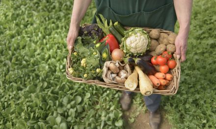 Sustainable food choices set to dominate 2019