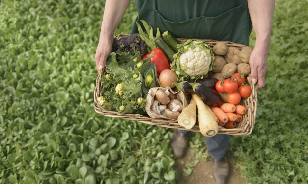 Sustainable food choices set to dominate 2019