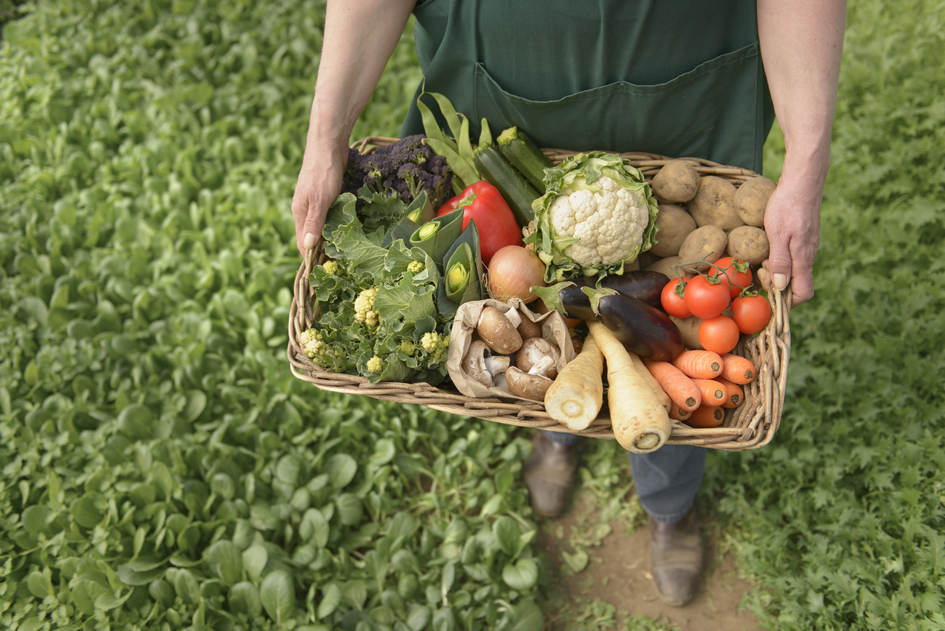 Sustainable food choices set to dominate 2019