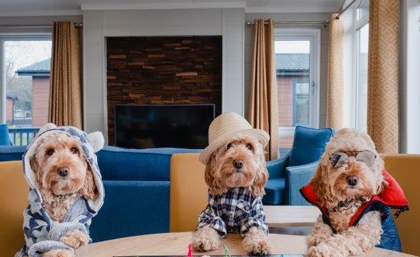 Dog Instagram sensation experiences first pet friendly stay at a brand new holiday park in Norfolk