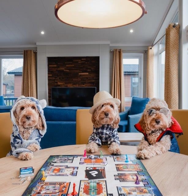 Dog Instagram sensation experiences first pet friendly stay at a brand new holiday park in Norfolk