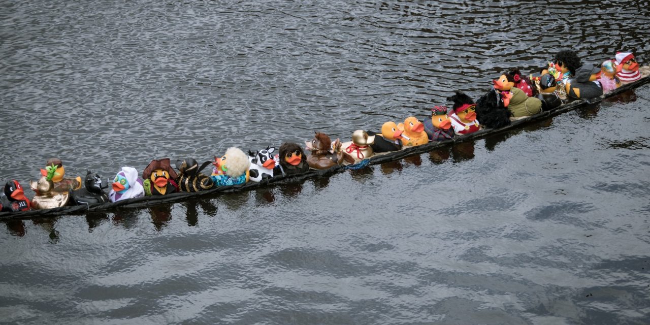 The Manchester Duck Race returns to New Bailey