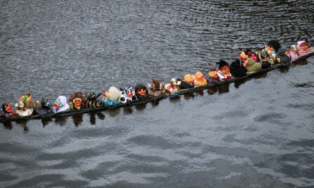 The Manchester Duck Race returns to New Bailey