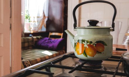 How to eco-proof your home appliances