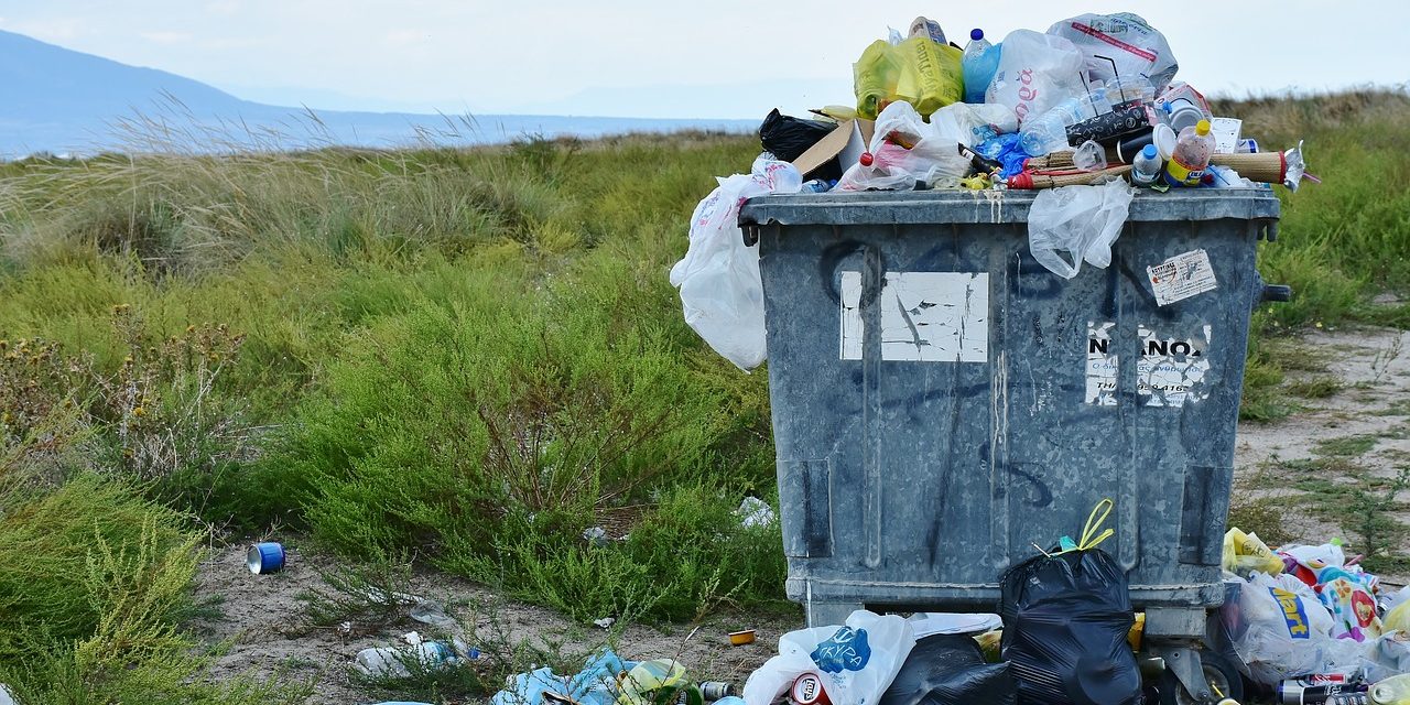 Cutting down on your household waste