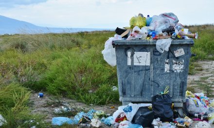 Cutting down on your household waste