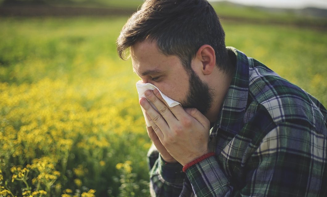 Hay fever season is not to be sniffed at