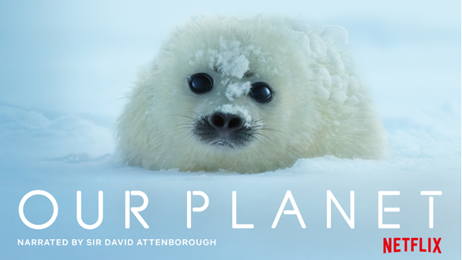 Netflix’s Our Planet | Free tickets to UK-wide Global Premiere screenings on 4th April