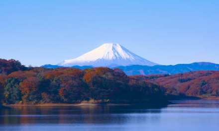 Fred. Olsen Cruise Lines launches inaugural ‘Authentic Japan’ cruise in early 2021