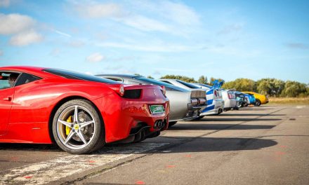 HENS ‘OVERTAKING’ STAGS ON RACE TRACK ACTION