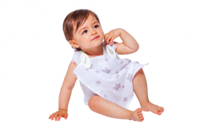 Bib Clip