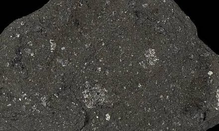 NASA Effort Digitizes Moon Rock, Making 3D Sample Available Beyond Researchers