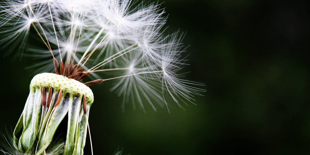 How the seasons affect health and safety measures