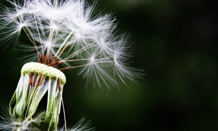How the seasons affect health and safety measures