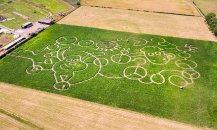 A SHAUN THE SHEEP MOVIE – DRONE CAPTURES GIANT CROP CIRCLE