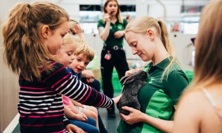 PETS AT HOME TO HOST FREE PET WORKSHOPS DURING THE SUMMER HOLIDAYS