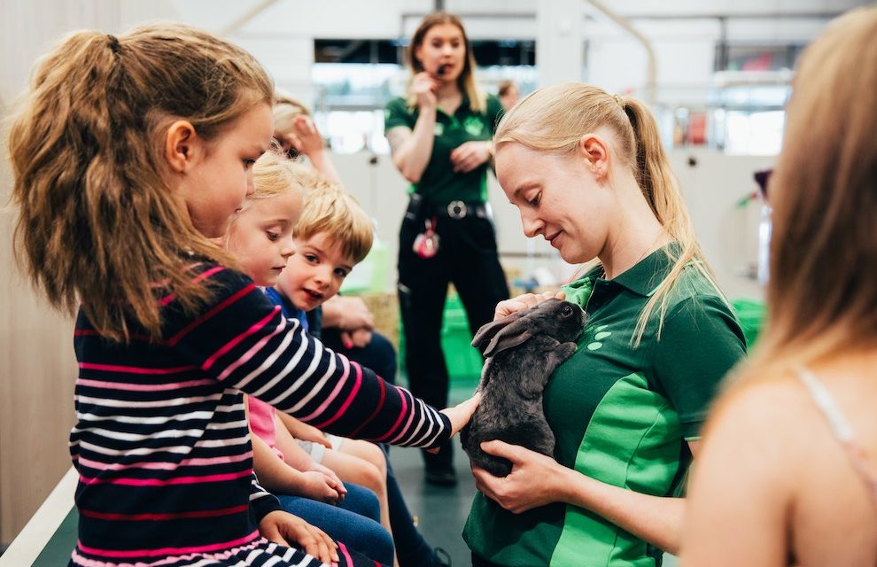PETS AT HOME TO HOST FREE PET WORKSHOPS DURING THE SUMMER HOLIDAYS