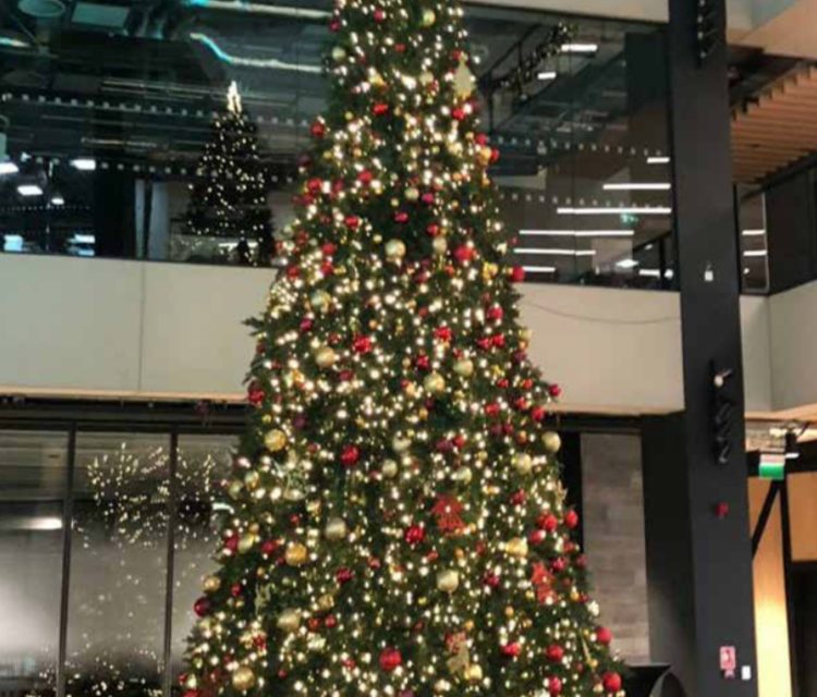 NERVOUS BRITS PREPARE FOR CHRISTMAS EARLY AS BREXIT LOOMS