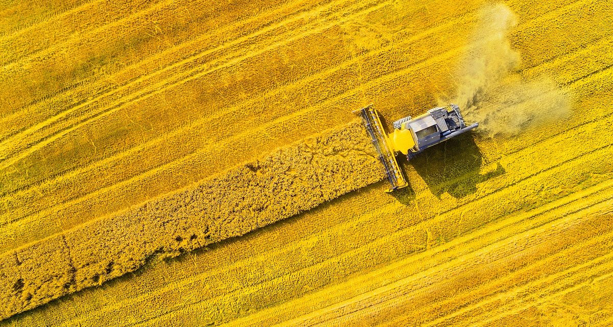 UK industries urged to shift towards renewable biofuels