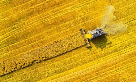 UK industries urged to shift towards renewable biofuels