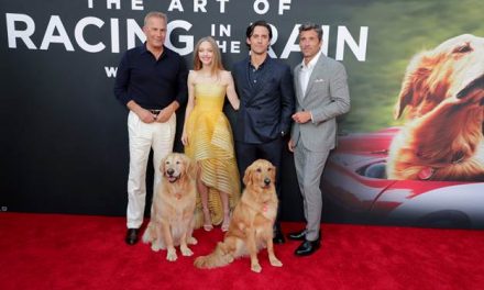 THE ART OF RACING IN THE RAIN – IN CINEMAS 9TH AUGUST