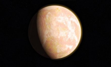 Shining (Star)light on the Search for Life