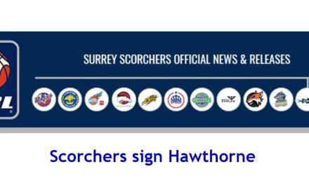 Scorchers sign Hawthorne