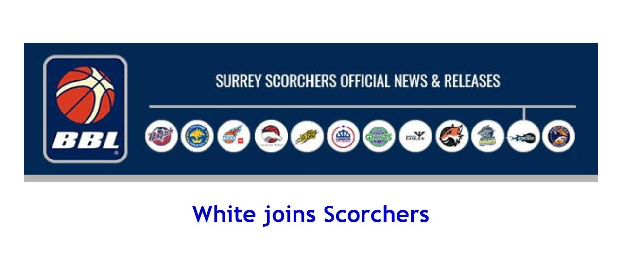 White joins Scorchers