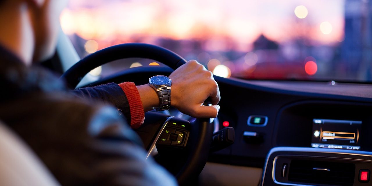 Cars your dog will love you for having