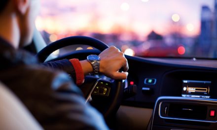Cars your dog will love you for having