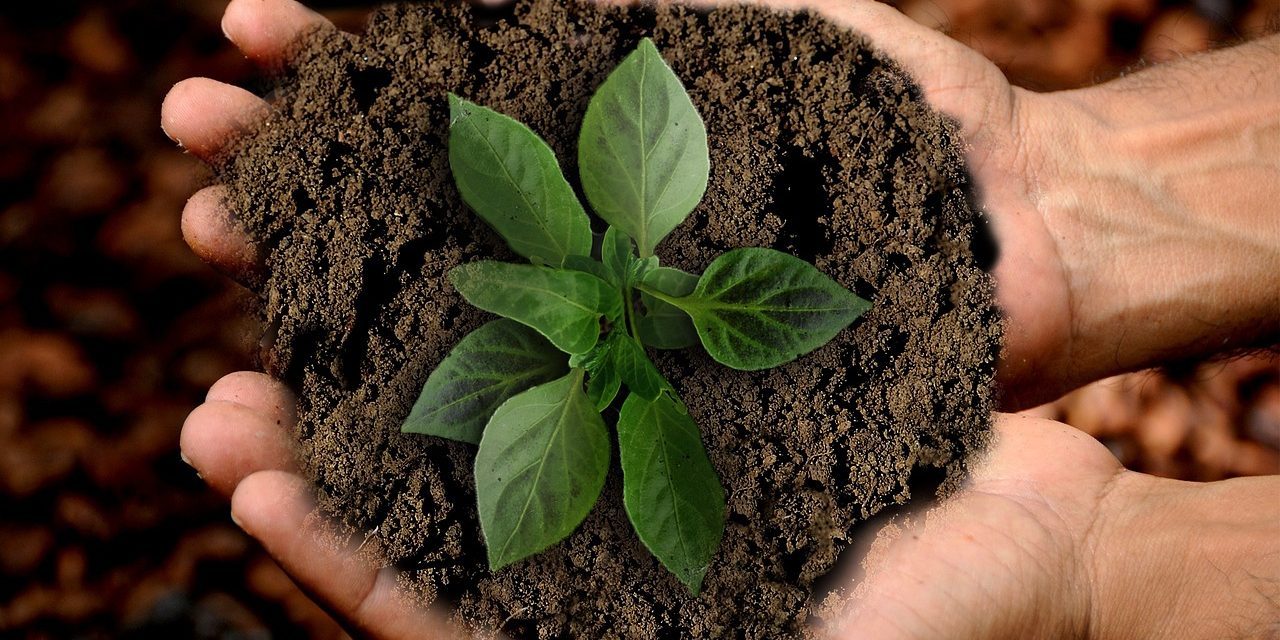 How fashion brands are approaching sustainability