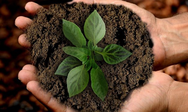 How fashion brands are approaching sustainability