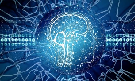 How Artificial Intelligence and Computer Vision are Creating Businesses and Enhancing the Workforce