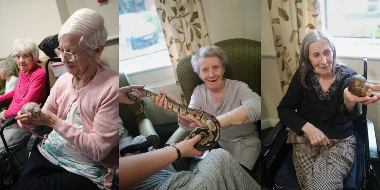 Elderly enjoy a magic encounter with Harry Potter creatures