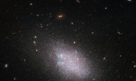 Hubble Spots a Swarm of Stars