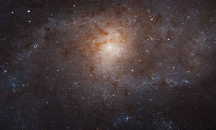 Stars Pollute, but Galaxies Recycle