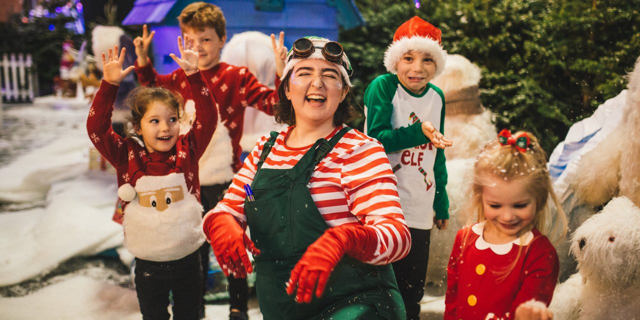 Winter Wonderland Calling For Charities to Get In Touch For Free Tickets