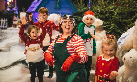 Winter Wonderland Calling For Charities to Get In Touch For Free Tickets