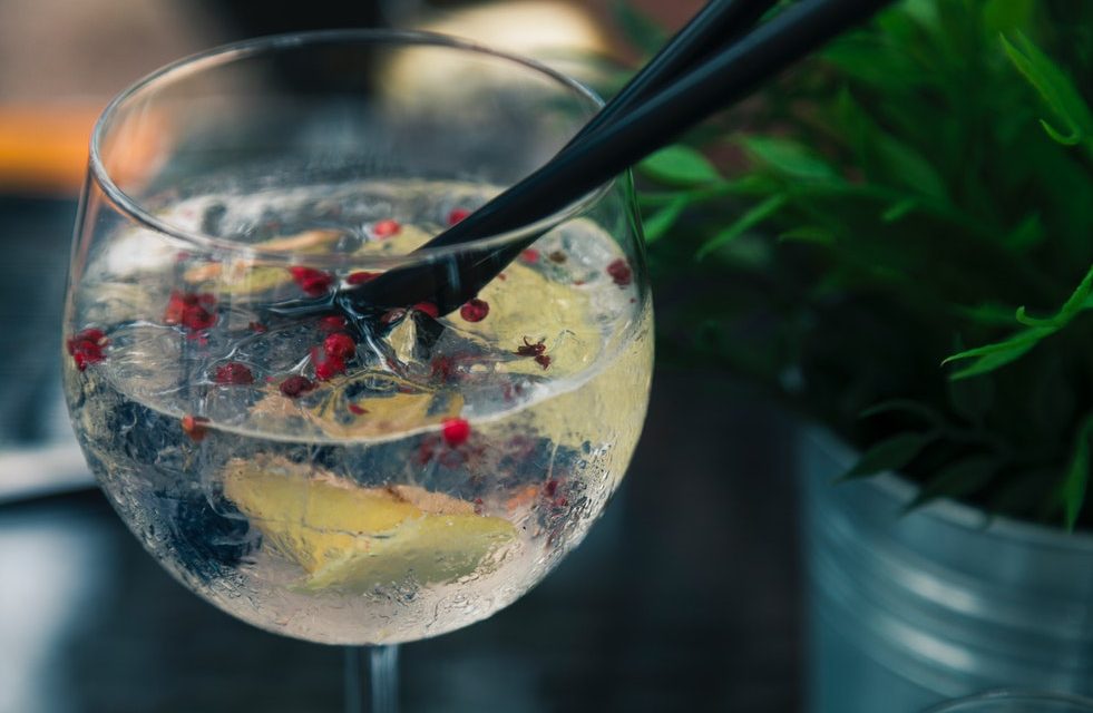 The rise of gin distilleries and how to start up your own