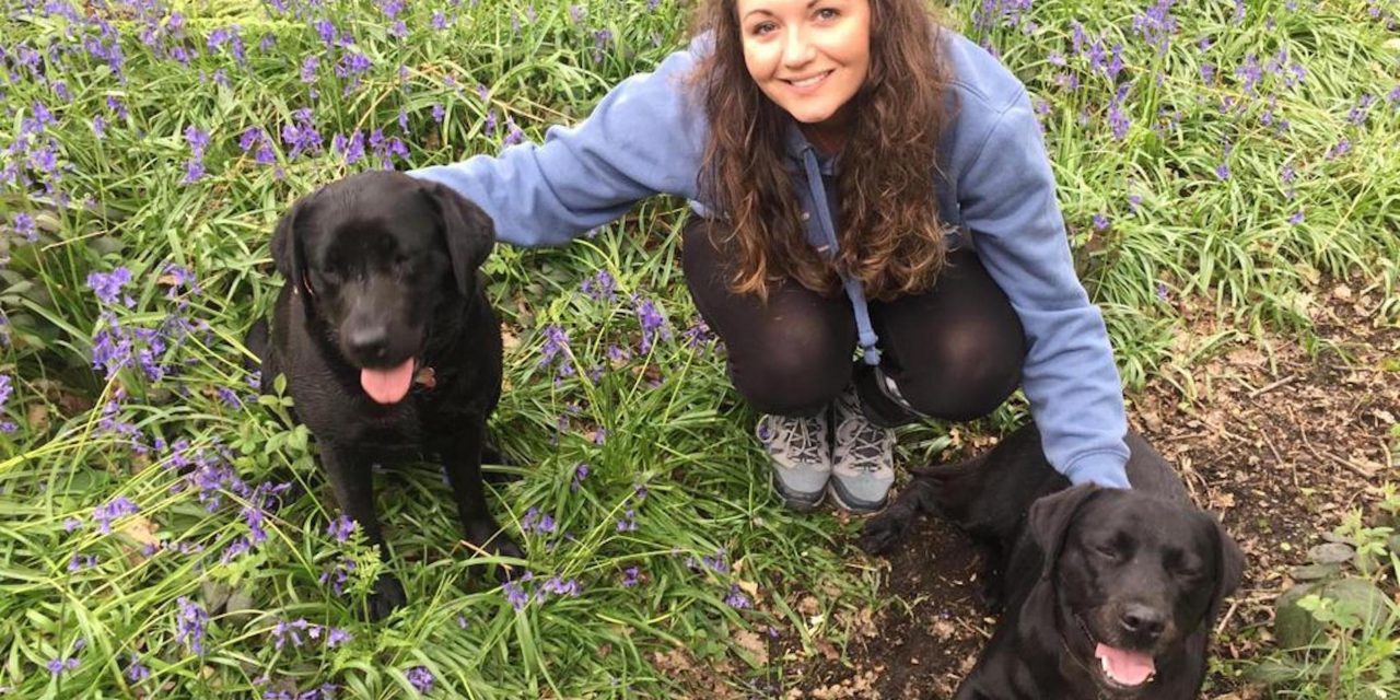 New pet interior brand Olive & Berry launches campaign to help the homeless