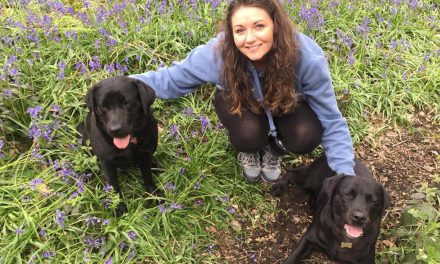 New pet interior brand Olive & Berry launches campaign to help the homeless